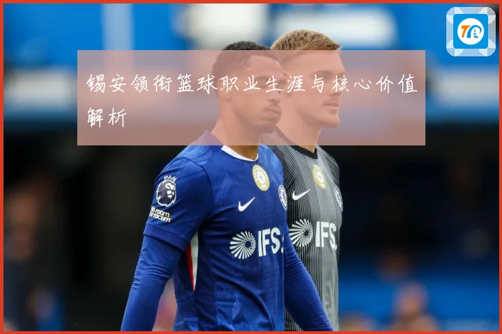 锡安领衔篮球职业生涯与核心价值解析