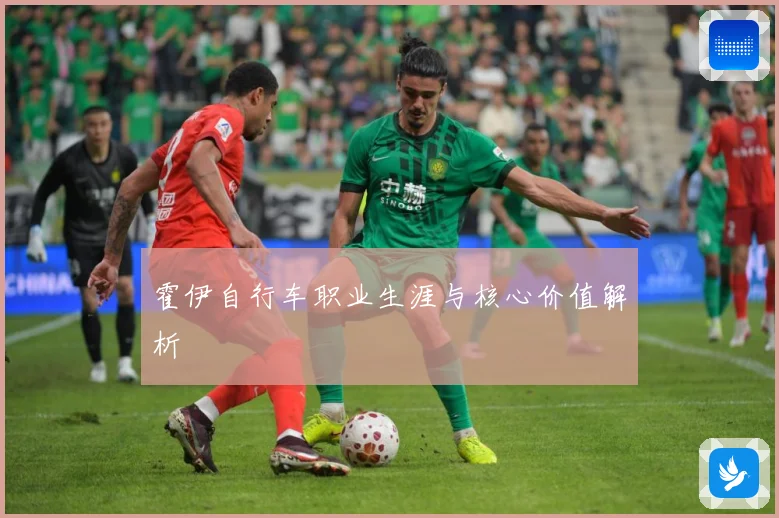 霍伊自行车职业生涯与核心价值解析