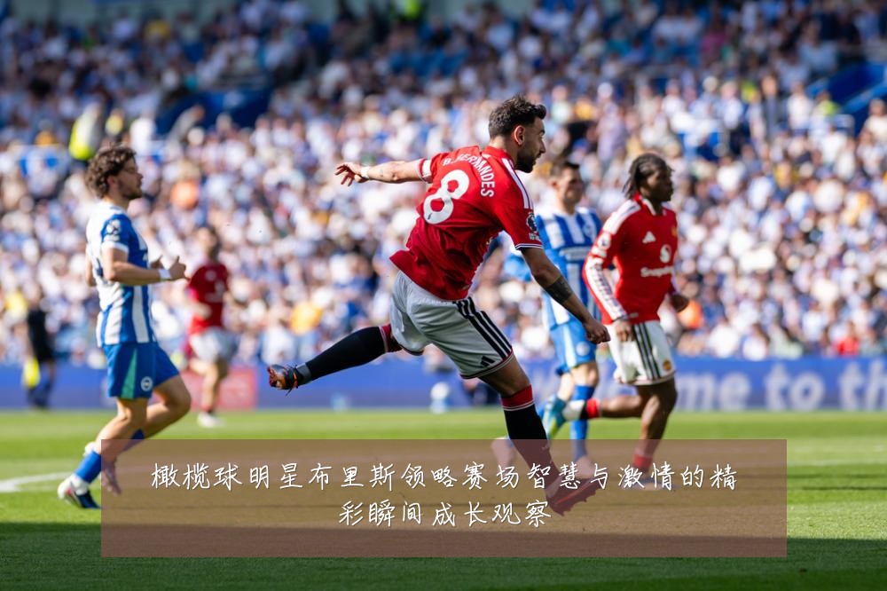 橄榄球明星布里斯领略赛场智慧与激情的精彩瞬间成长观察
